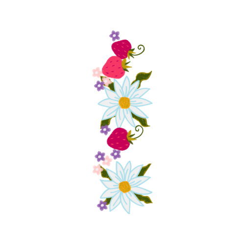 Flannel Flower Wedding Flannel Flower Wedding