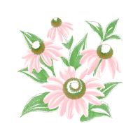 Flannel Flower Wedding