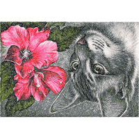 Floral Wedding Floral Wedding