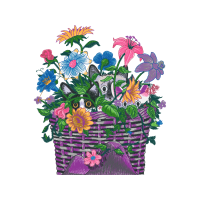 Floral Wedding Floral Wedding