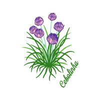 Flower Wedding Flower Wedding