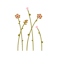 Flower Wedding Flower Wedding