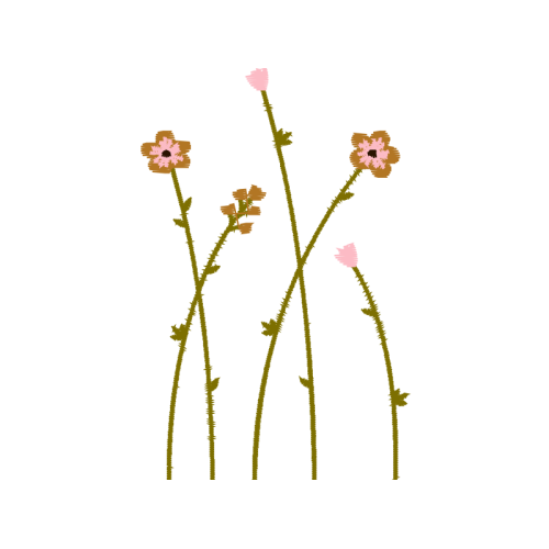 Flower Wedding Flower Wedding