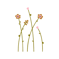 Flower Wedding Flower Wedding