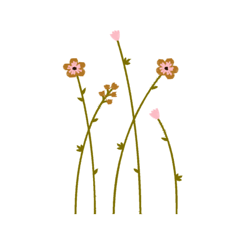 Flower Wedding Flower Wedding