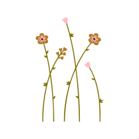 Flower Wedding Flower Wedding