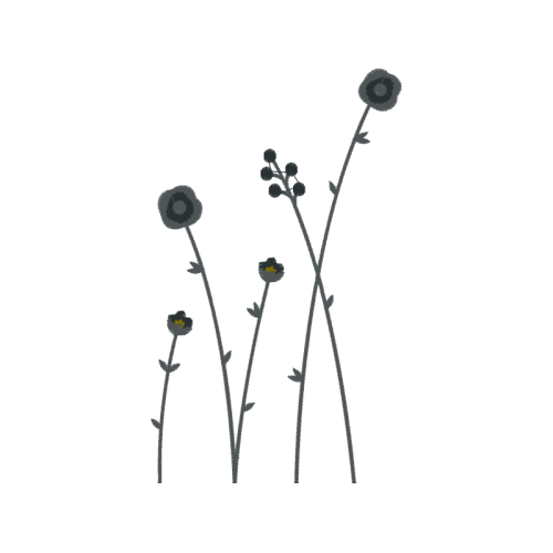 Flower Wedding Flower Wedding