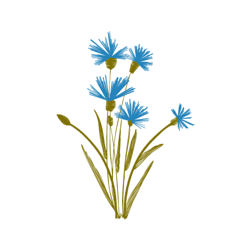 Flower Wedding Flower Wedding