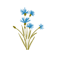 Flower Wedding Flower Wedding