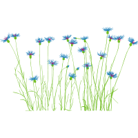 Flower Wedding Flower Wedding