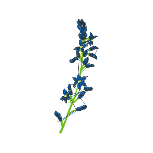 Flower Wedding Flower Wedding