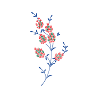 Flower Wedding Flower Wedding