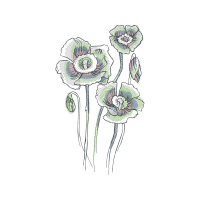 Flower Wedding Flower Wedding