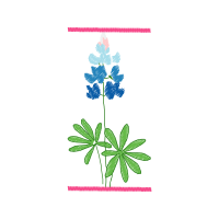 Flower Wedding Flower Wedding