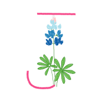 Flower Wedding Flower Wedding