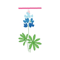 Flower Wedding Flower Wedding