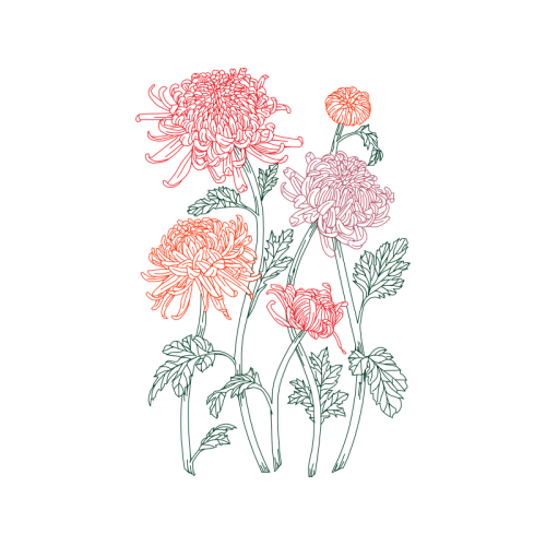 Flower Wedding Flower Wedding