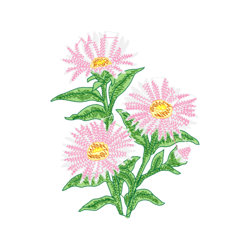 Flower Wedding Flower Wedding