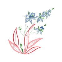 Flower Wedding Flower Wedding