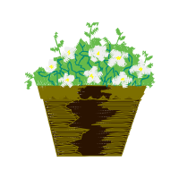 Flower Wedding Flower Wedding