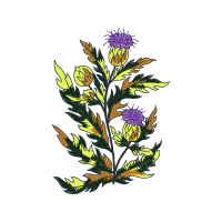 Flower Wedding Flower Wedding