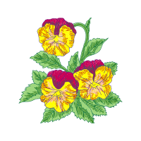 Flower Wedding Flower Wedding