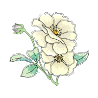 Flower Wedding Flower Wedding