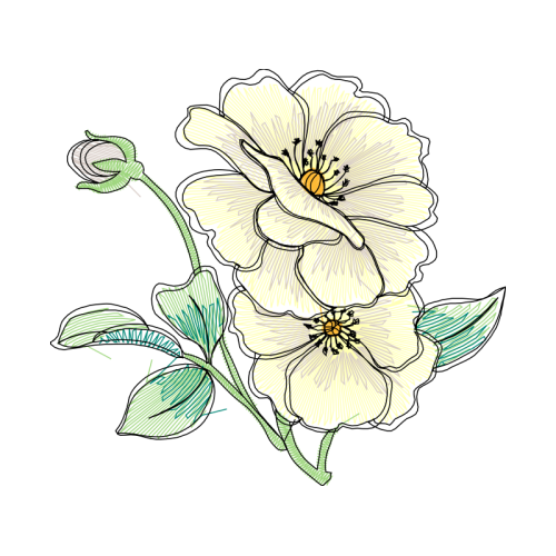 Flower Wedding Flower Wedding