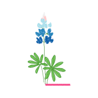 Flower Wedding Flower Wedding