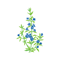 Flower Wedding Flower Wedding