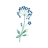 Flower Wedding Flower Wedding