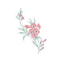 Flower Wedding Flower Wedding