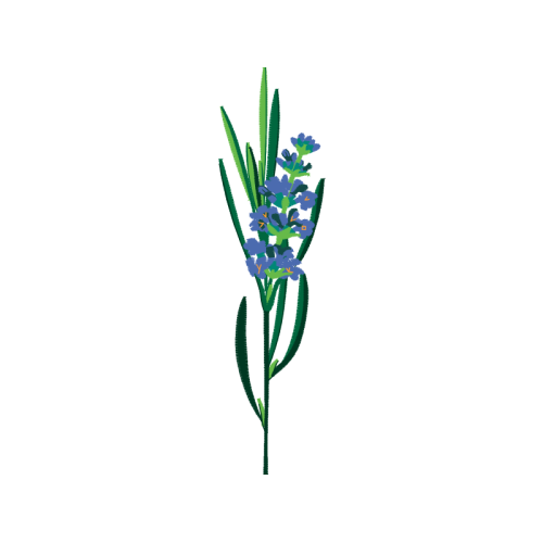 Flower Wedding Flower Wedding