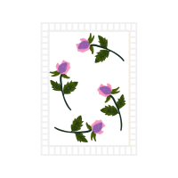 Flower Wedding Flower Wedding