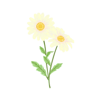 Flower Wedding Flower Wedding