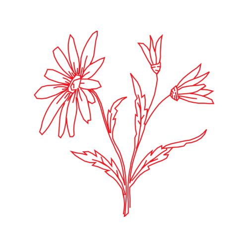 Flower Wedding Flower Wedding