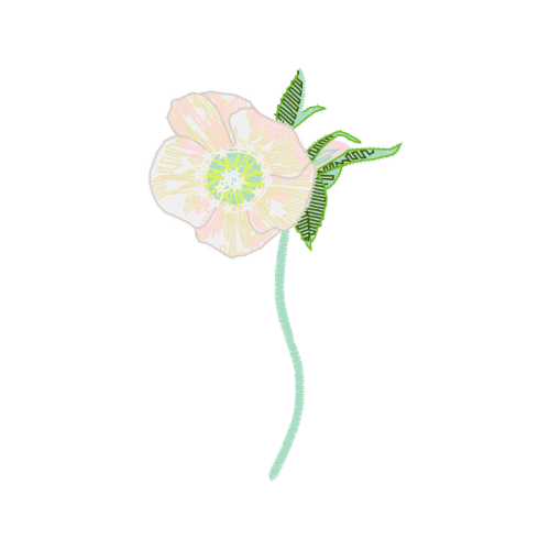 Flower Wedding Flower Wedding