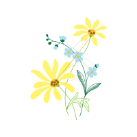 Flower Wedding Flower Wedding