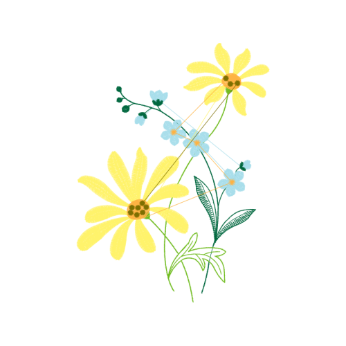 Flower Wedding Flower Wedding