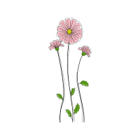 Flower Wedding Flower Wedding