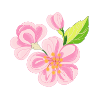 Flower Wedding Flower Wedding