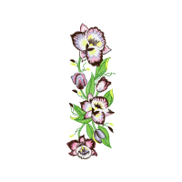 Flower Wedding Flower Wedding