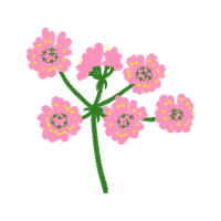 Flower Wedding Flower Wedding