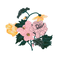 Flower Wedding Flower Wedding