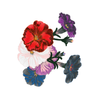 Flower Wedding Flower Wedding