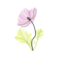 Flower Wedding Flower Wedding