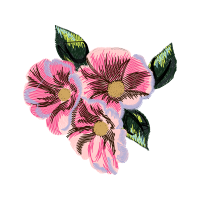 Flower Wedding Flower Wedding