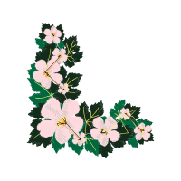 Flower Wedding Flower Wedding