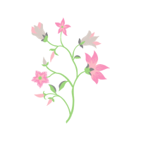 Flower Wedding Flower Wedding