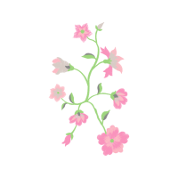 Flower Wedding Flower Wedding